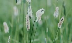 富有情感的女性个性签名，流露出内心绵长而缠绵的哀愁，带有强烈的求救与想哭的情感表达