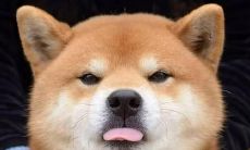 欢乐之源：让您心情愉悦的趣味幽默语录