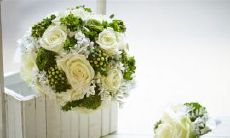 展现家庭情感，彰显真正的亲情之爱的赞美语句