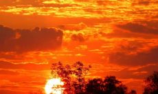 在夕阳西斜时，美丽的诗句和句子能够为您的朋友圈添加绝妙的魅力！