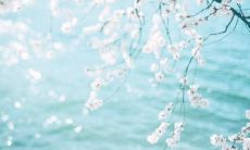 深刻感悟亲情浓厚的感人句子，让你重新审视家庭与人生的真谛