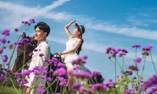 五月份发布的社交媒体动态，包含了我此时的心情、想法和生活经历