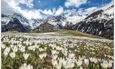 女友加班期间，问候她的甜美短信：用温柔的文字告诉她你的深爱之情！