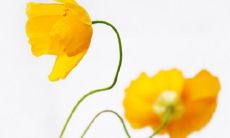 深度探讨童趣对亲情的影响以及如何在家庭教育中培养童心，增进亲子关系的句子