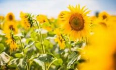 勤奋努力，挥洒汗水，努力拼搏的人生——赚钱之路