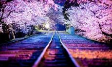 震撼人心的12个餐饮口号，让您在餐桌上声名远扬！