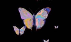 用这个签名让你在整个冬季享受幸福满满的感觉