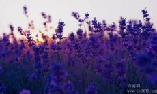 超乎想象的美好未来在前方：启发人心的有关希望的名言