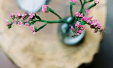 生命中的领悟：一些简明的人生哲理