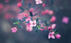 探讨在面对亲情时与友情的句子用法和区别的探讨及比较