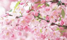 一点的励志口号：具有启发性的、短小精悍、鼓舞人心的名言