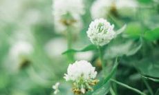 用惯的“哄妹妹开心的句子套路”太老套了？试试这个长标题：掌握这些引起女孩开心的口头表达方法——哄妹妹开心的句子套路