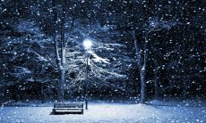 感恩恩师给予我的教诲：我所受益的名言、格言以及句子