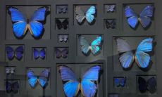 在悲伤的情绪中抒发心酸，留下伤感的句子记录累心心情