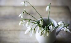 2022年将掀起网络热潮，人人皆知的网络语句风靡全球！