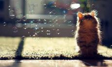 感到失望的话语，让他的家人大失所望