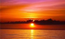 如何提高厨房技能和烹饪技巧的有效口号：参加我们的厨房例会，学习美食制作精髓!