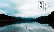 在清明节寄哀思的时刻，让我们共同分享这些慰藉心灵的句子