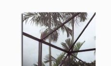 痛苦不舍的告别——心系前任，不愿分手的心酸言辞