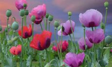 开学在即，蓄势待发，振奋人心，喜提新学期！