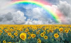 不管是悲伤还是喜悦，都有哭泣和笑脸的句子可以借鉴，走出情绪的泥潭！