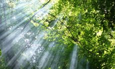 早晨用问候、关心和祝福的短信来表达关怀和爱意