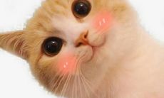 让孩子们度过一个充满乐趣和欢笑的难忘暑假的祝福句子