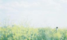 使用鼓励方式让男友放心与开心的美好语句