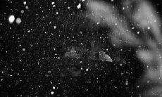 男性对婚姻关系的沮丧与失落：一种探究结婚后心理变化的深入研究