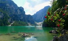 享有亲情陪伴的日子，是何其美好的事啊！