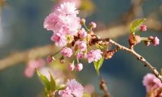 三月晚安愉快的话语：让你今晚放松心情，进入安详的睡眠状态！