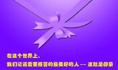 表达对母亲深深感激之情的长篇句子，追寻母爱的无尽滋润和不朽价值