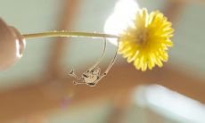 多种方式带给你快乐的句子全集，让你不再闷闷不乐