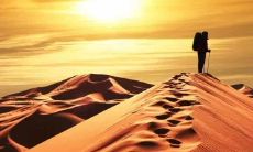 毫不动摇地坚守着不断重复的有力文字构成的句子