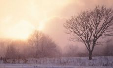 喜迎天气降温：分享各种祝福语祝福现在和未来所有的安康和温暖！