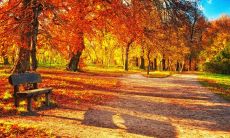 在下雪天为客户送上问候的短信：如何在寒冷天气中维护良好客户关系？