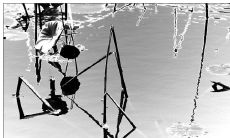 秋意渐浓，秋风冷漠，秋雨凉意融融，引发心灵的伤感句子