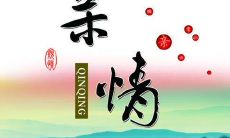 姊妹间的亲情团结不可思议，值得推崇的表现和赞美的言辞