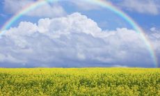 探讨亲情与家族关系如何重塑人生，强化人际关系及培养责任感