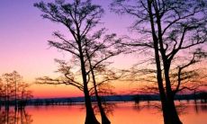 让男人内心深受触动甚至心碎的句子：一览让你动容的表达方式