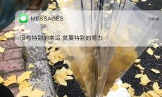 创造人心牵动、激动人心的文案，让读者沉醉其中！