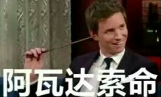 享受沙雕句子带来的无穷乐趣：让你开怀大笑的一连串语言愚趣