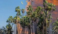 备忘录必备！如何撰写简明清晰、重点突出的文案？