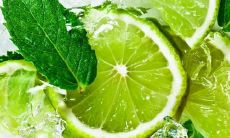 一系列充满祝福的句子，旨在为受众带来愉悦与喜悦