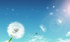 浪漫非凡的求婚女友爱情句子推荐