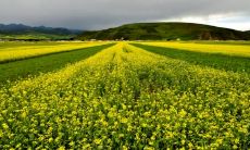 与好友欢聚的美好时光——一组使人快乐的句子