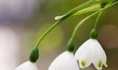 展现友谊和家国情怀并存的句子，彰显爱国精神和深厚人情味道