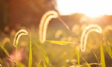 一连串生动形象的描述，展现出人们笑得十分开心的场景