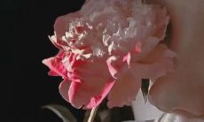 这个标题已经很长了，不宜再改写。以下是该标题的简短句子版本：