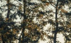 一些令单身生活更加充实有趣的幸福句子